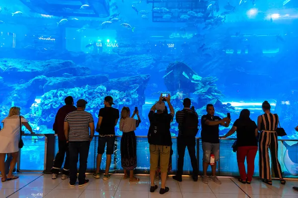 ドバイ アラブ首長国連邦 エイプリル社2019年5月 ドバイ最大のショッピングモールであるドバイモールの巨大な水族館 — ストック写真