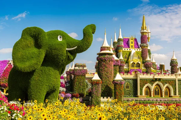 Dubai United Arab Emirates March 2020 Dubai Miracle Garden Sunny — Stock Photo, Image