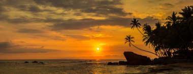 Sri Lanka 'daki Dalawella plajında Sunset Panoraması