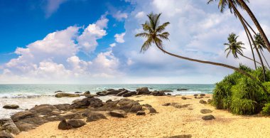 Sri Lanka 'da güneşli bir günde Ambalangoda tropikal plajı panoraması