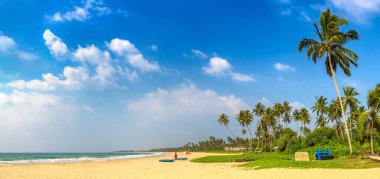 Sri Lanka 'da güneşli bir günde Shinagawa Tropikal Plajı Panoraması