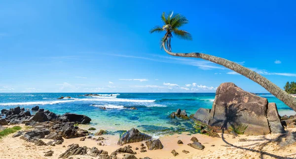 Panorama Roca Palmera Playa Dalawella Día Soleado Sri Lanka —  Fotos de Stock