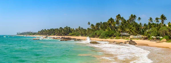 Panorama Rock Palm Tree Dalawella Beach Sunny Day Sri Lanka — Stock Photo, Image