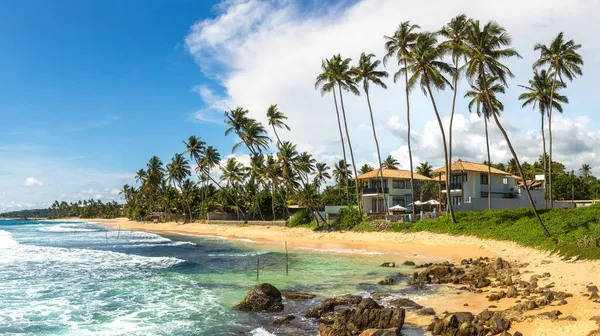 Panorama Pedra Palmeira Praia Dalawella Dia Ensolarado Sri Lanka — Fotografia de Stock