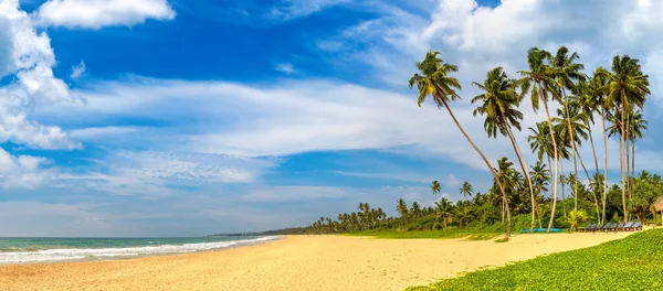 Panorama Tropikalnej Plaży Shinagawa Słoneczny Dzień Sri Lance — Zdjęcie stockowe