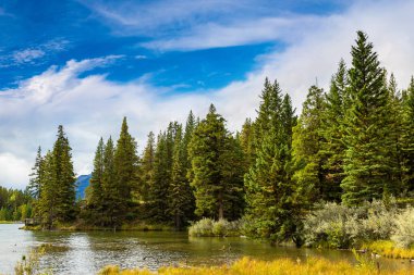 Johnson gölde Banff National Park, Amerika Birleşik Devletleri