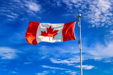 Kanada bayrağı güneşli bir günde mavi gökyüzüne karşı dalgalanıyor, Kanada