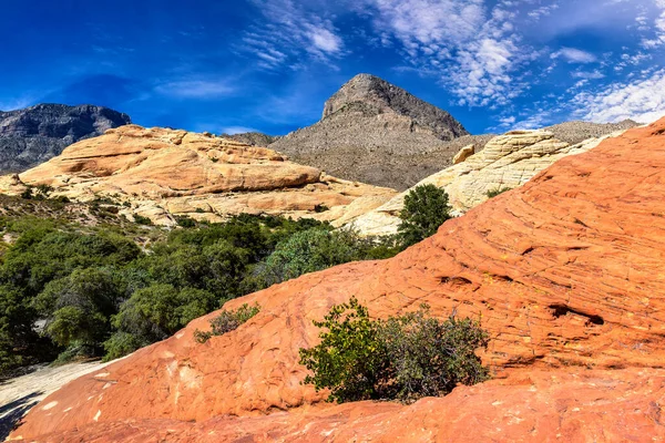 Red Rock Canyon National Conservation Area Las Vegas Nevada Usa — Stock Photo, Image