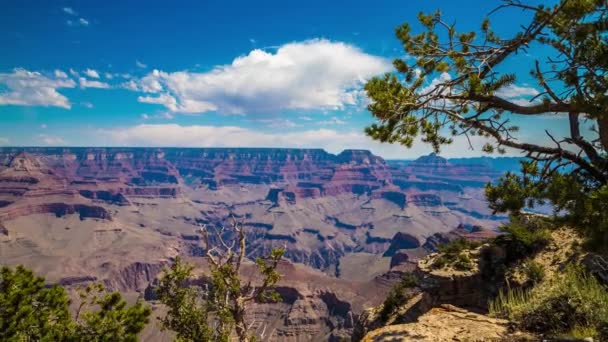 Parque Nacional del Gran Cañón en un día soleado, Arizona, EE.UU. — Vídeos de Stock