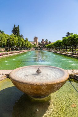 İspanya 'nın güzel bir yaz gününde Cordoba' daki Alcazar de los Reyes Cristianos 'un ünlü bahçelerinde çeşme.