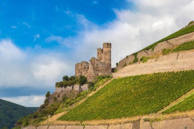 Ren Vadisi 'ndeki romantik şatolar Almanya' nın güzel bir yaz gününde şarap imalathanesidir.