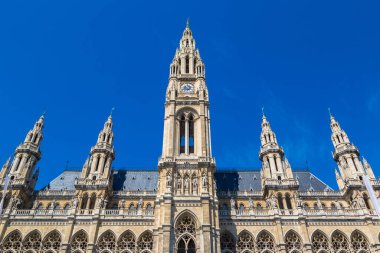 Güzel yaz günü Viyana, Avusturya'da Rathaus (Belediye Binası)
