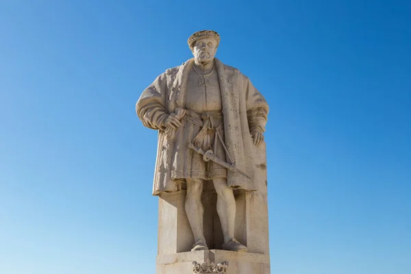 Pomnik Króla Joao Iii Uniwersytet Coimbrze Coimbra Portugalia Piękny Letni — Zdjęcie stockowe