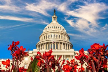ABD Kongre Binası ve Gladiolus çiçekleri Washington DC, ABD 'de bir yaz günü