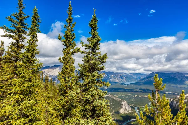 Vue Aérienne Panoramique Vallée Bow Dans Parc National Banff Rocheuses — Photo