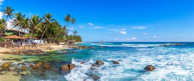 Sri Lanka 'da güneşli bir günde Dalawella Sahili' nde Kaya ve Palmiye Ağacı Panoraması