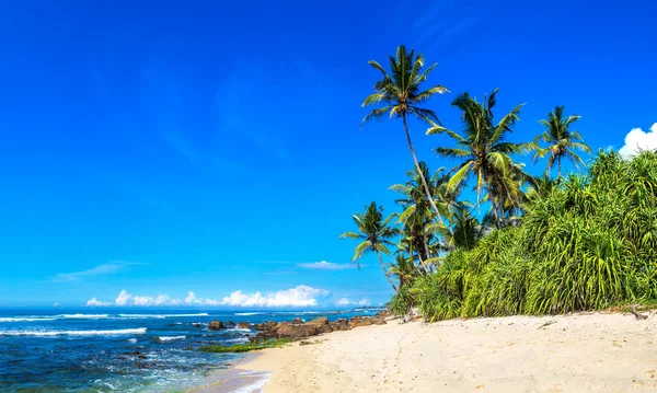 Panorama Tropical Beach Sunny Day Sri Lanka — ストック写真