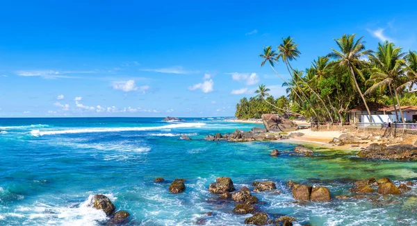 Panorama Rock Palm Tree Dalawella Beach Sunny Day Sri Lanka — Stock Photo, Image