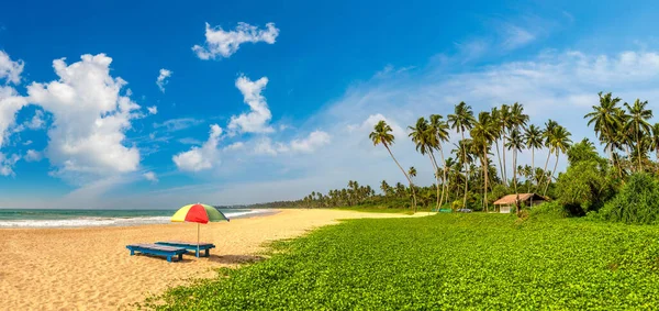 Sri Lanka 'da güneşli bir günde Shinagawa Tropikal Plajı Panoraması
