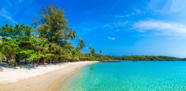 Güneşli bir günde Tropikal plajın manzarası