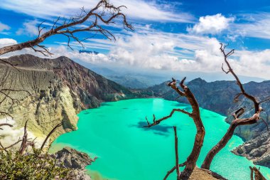 Aktif volkan Ijen 'in panoramik hava manzaralı krateri ve ölü ağaç, Java Adası, Endonezya
