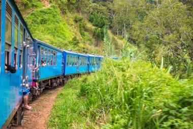 Nuwara 'da tren Eliya, Sri Lanka' da yaz günü