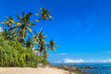 Sri Lanka 'da güneşli bir günde kumsal