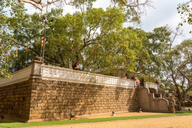 Anuradhapura 'daki Jaya Sri Maha Bodhi Tapınağı Sri Lanka Arkeoloji Müzesi