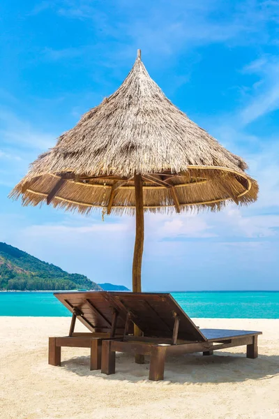 Güneşli bir günde, tropikal bir sahilde güneşli bir yatak ve palmiye ağacı.