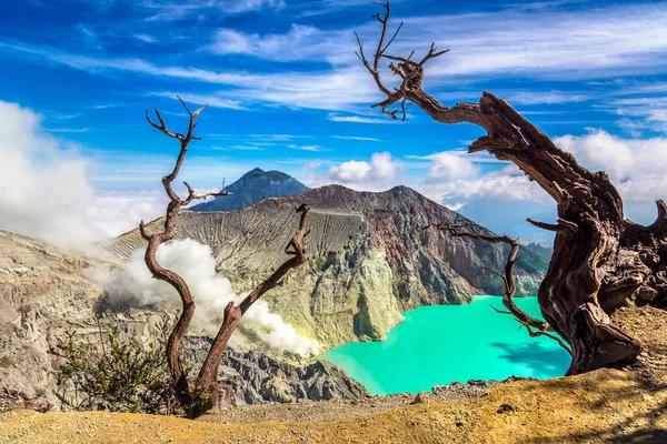 活火山イジェンと枯死木 ジャワ島 インドネシアのパノラマ航空ビュークレーター — ストック写真