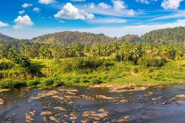Selva Rio Centro Sri Lanka — Fotografia de Stock