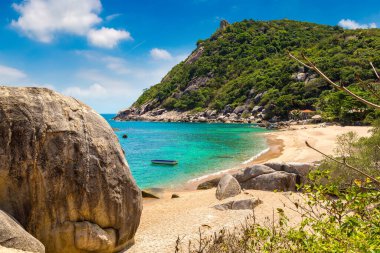 Ao Tanote Sahili Koh Tao Adası, Tayland