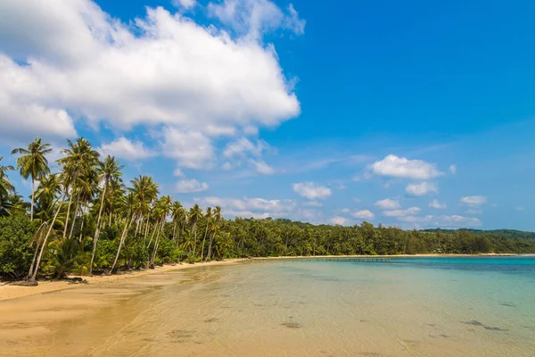 Schöner Tropischer Strand Einem Sommertag — Stockfoto