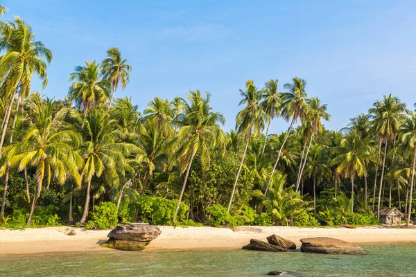 Güneşli bir günde güzel tropikal plajlar