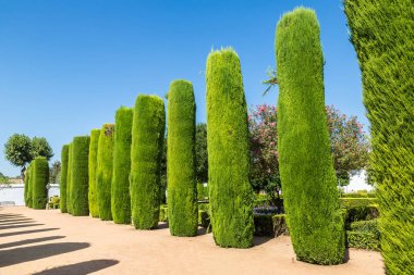 Alcazar de los Reyes Cristianos Cordoba bir güzel yaz günü, İspanya'ndaki bahçeler