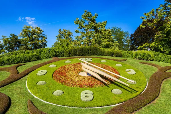 Bir güzel yaz günü, İsviçre Cenevre çiçek saat