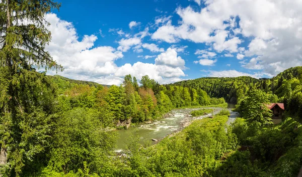 山区河流在美丽的夏日 乌克兰喀尔巴阡森林的全景 — 图库照片