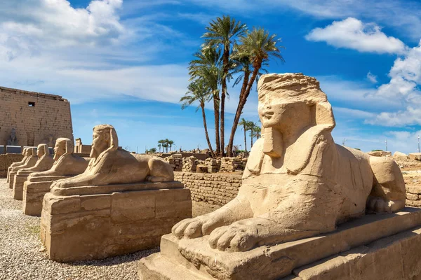 Sfinks Allee Aleja Sfinksów Słoneczny Dzień Luxor Egipt — Zdjęcie stockowe