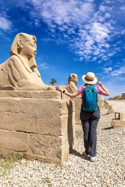 Woman Tourist Sphinx Allee Avenue Sphinxes Sunny Day Luxor Egypt —  Fotos de Stock