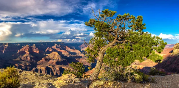 Panorama Grand Canyon National Park Powell Point Pôr Sol Arizona — Fotografia de Stock