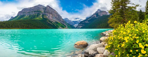 Panorama Del Lago Louise Flor Amarilla Salvaje Parque Nacional Banff — Foto de Stock