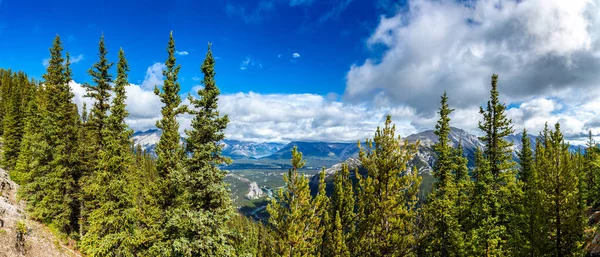 Panorama Vue Aérienne Vallée Bow Dans Parc National Banff Rocheuses — Photo