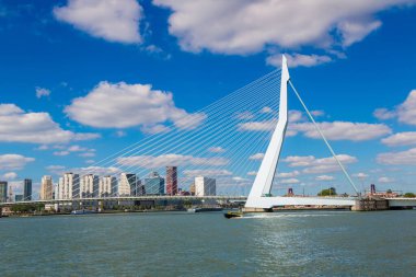Rotterdam 'daki Erasmus Köprüsü