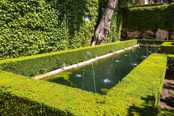在一个美丽的夏日 西班牙格拉纳达Alhambra宫的花园和喷泉 — 图库照片