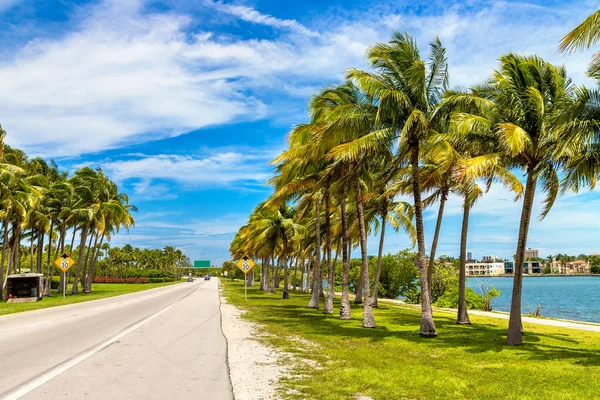 Palm trees and road in Miami Beach, Florida
