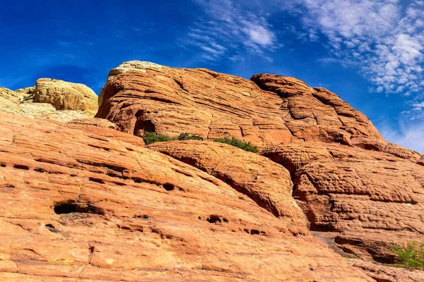 Aire Nationale Conservation Red Rock Canyon Près Las Vegas Nevada — Photo