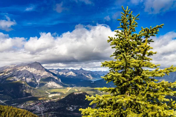 Vue Aérienne Panoramique Ville Banff Dans Vallée Bow Dans Parc — Photo