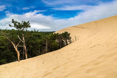 Dune Pilat (Dune du pile) - en yüksek kumul Avrupa, Arcachon Bay, Aquitaine, Fransa, Atlantik Okyanusu