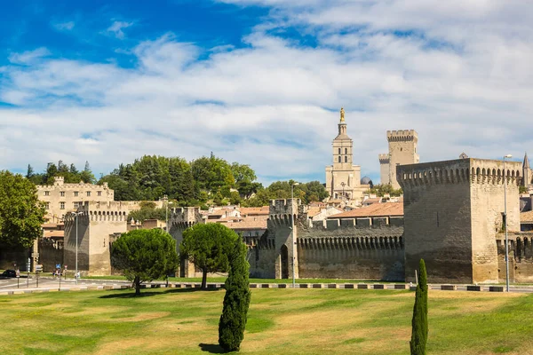 Päpstlicher Palast Avignon Einem Schönen Sommertag Frankreich — Stockfoto