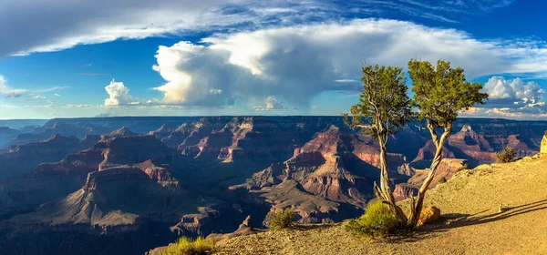 Panorama Parku Narodowego Grand Canyon Powell Point Zachodzie Słońca Arizona — Zdjęcie stockowe